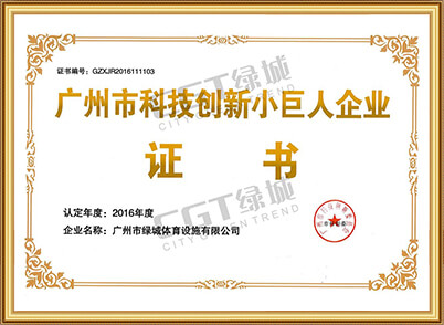 广州市科技创新小巨人